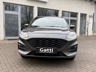 FORD Kuga 2.5 Plug In Hybrid 225 CV CVT 2WD ST-Line