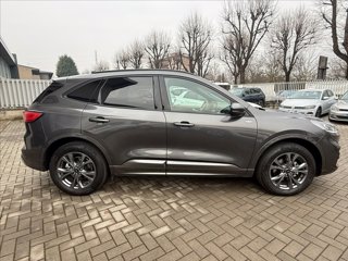 FORD Kuga 2.5 Plug In Hybrid 225 CV CVT 2WD ST-Line