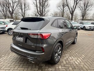 FORD Kuga 2.5 Plug In Hybrid 225 CV CVT 2WD ST-Line